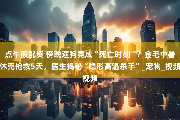 点牛股配资 傍晚遛狗竟成“死亡时刻“？金毛中暑休克抢救5天，医生揭秘“隐形高温杀手”_宠物_视频