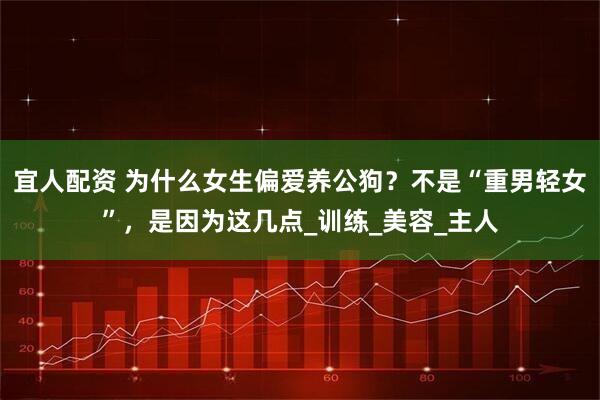 宜人配资 为什么女生偏爱养公狗？不是“重男轻女”，是因为这几点_训练_美容_主人