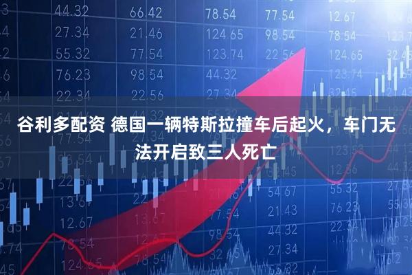 谷利多配资 德国一辆特斯拉撞车后起火，车门无法开启致三人死亡