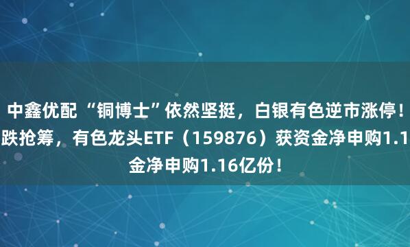 中鑫优配 “铜博士”依然坚挺，白银有色逆市涨停！资金逢跌抢筹，有色龙头ETF（159876）获资金净申购1.16亿份！